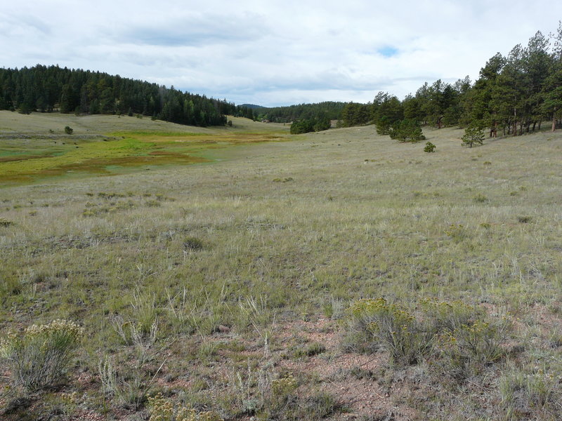 Meadows along the Hornbek Wildlife Loop.