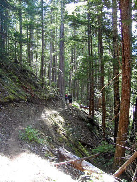 Thunder Creek Trail.