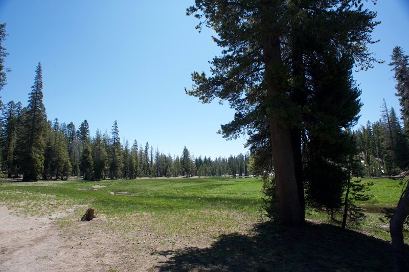 A beautiful alpine meadow awaits you as you hike along Kings Creek Trail. The trail skirts the perimeter of the meadow, allowing it to be preserved for wildlife and plants to flourish.