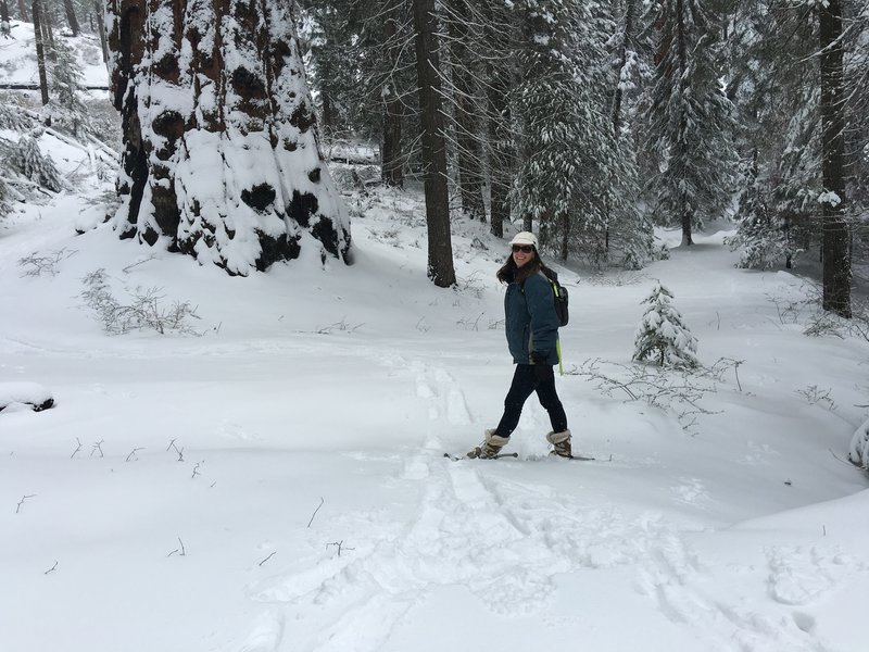 This was a great hike for snowshoeing. There wasn't any great vista points but overall it was just a beautiful hike.