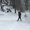 This was a great hike for snowshoeing. There wasn't any great vista points but overall it was just a beautiful hike.