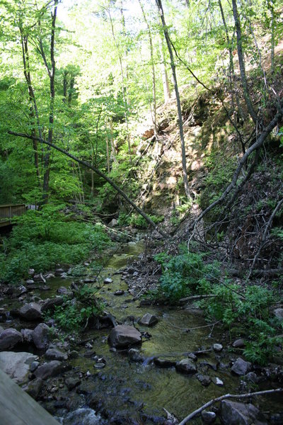 Passing a scenic creek on the Ice Age Trail.