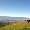 The skyline is easy to see from way up here on the Hidden Valley Trail.