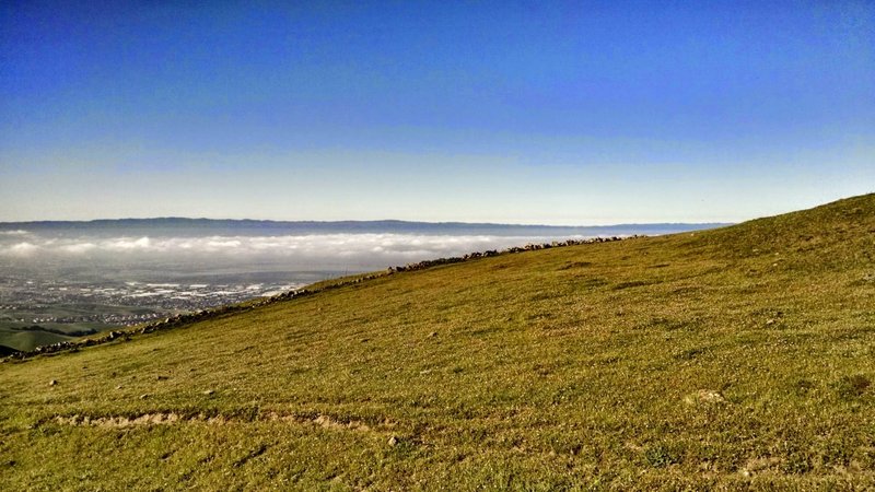 Mission Peak Regional Preserve.