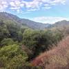 View in Rancho San Antonio Open Space Preserve.