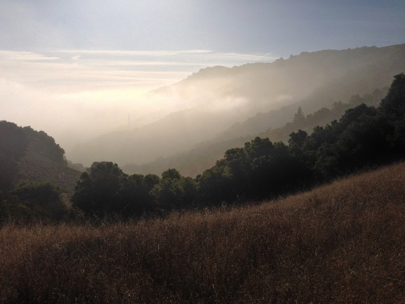 Rancho San Antonio.