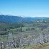 Looking back toward Big Oak Flat Road back toward El Portal.