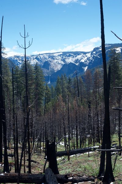 Bridalveil Falls can now be seen through the burned trees on a spring day. This hike shows how the area is recovering from a forest fire.