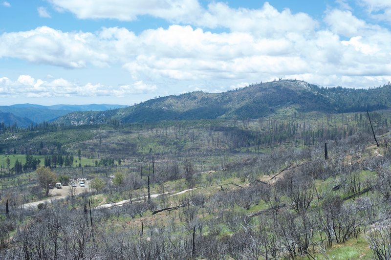 The Big Meadow Fire started as a prescribed burn in August 2009, but grew out of control.  The damage you see in this shot is the result of that burn.