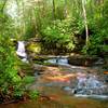 Raven Cliff Falls.