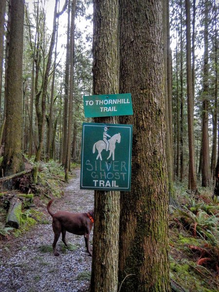 Short Silver Ghost Trail.