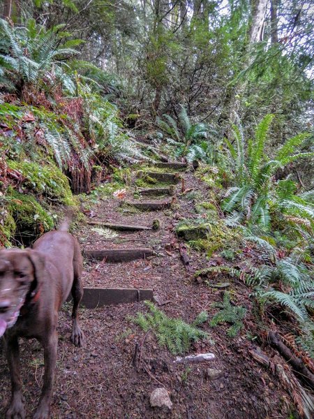 More stairs!