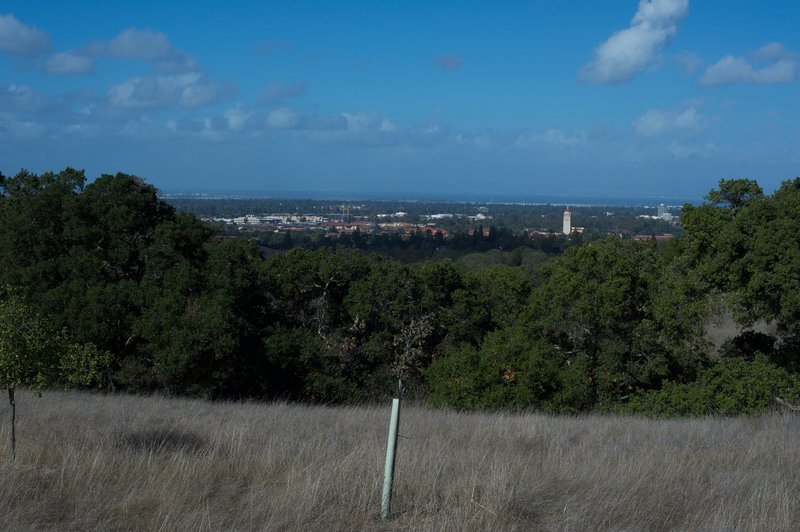 Different views of the campus along the trail.