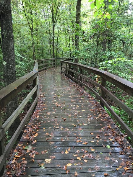 The start of the Boardwalk Trail on a wet fall day.