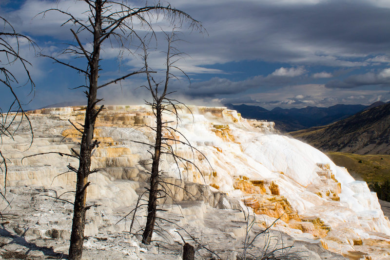 Canary Springs in Mammoth Hot Springs.