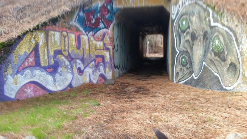 Graffiti on the railroad tunnel, northeast side.