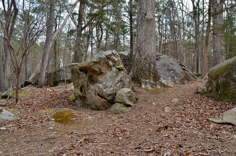 Rock outcrop along Hidden Rocks Loop.