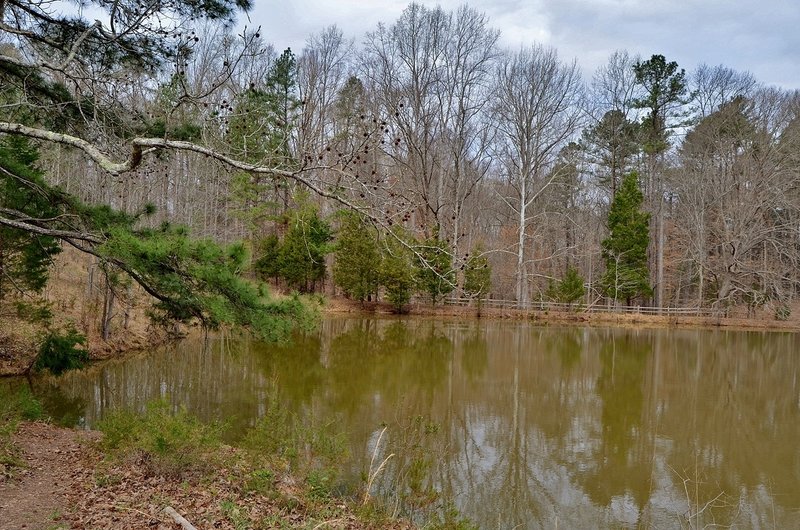 Farm Pond in Wilkerson Nature Preserve.