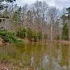 Farm Pond in Wilkerson Nature Preserve.