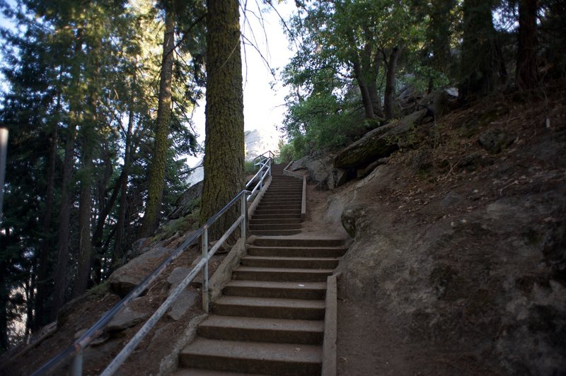 The trail leading up to Moro Rock is primarily stairs, so get ready to climb.