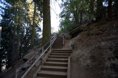 The trail leading up to Moro Rock is primarily stairs, so get ready to climb.