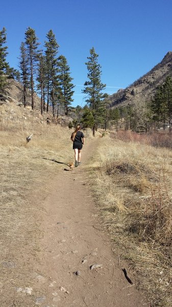 View of the trail conditions around the 1 mile mark.