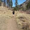 View of the trail conditions around the 1 mile mark.