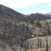 The view looking west just past the three mile mark on the trail. Elevation here is 6,700 ft.