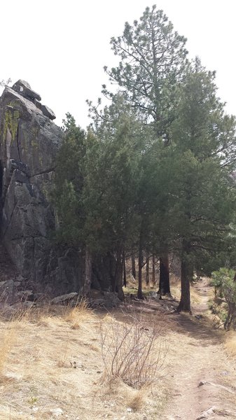 One of the few shady and cool spots along this trail, located at mile 1.5 and revisited again at mile 6.5.