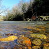 The Eno River.