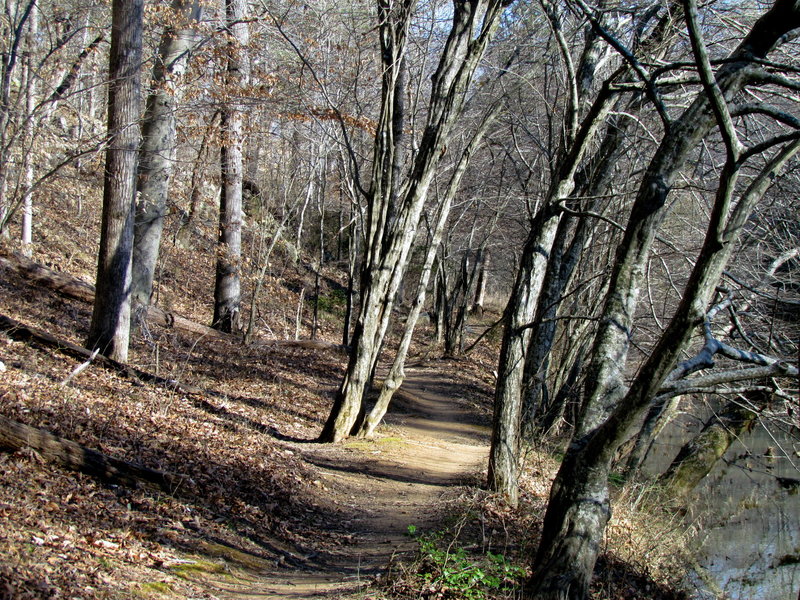 The trail along the Eno River.