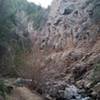 Beaver Brook at the bottom of the canyon. This photo is taken just past the last stream crossing.