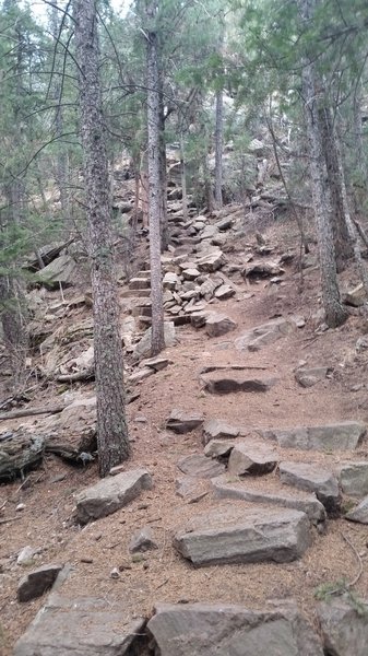 Section of the trail with "stairs."