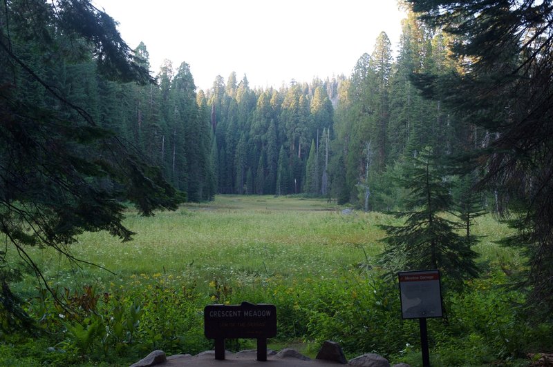 Crescent Meadow from the Loop Trail.