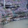 The River Styx comes out of the rocks at the cave exit. The water was high this year.