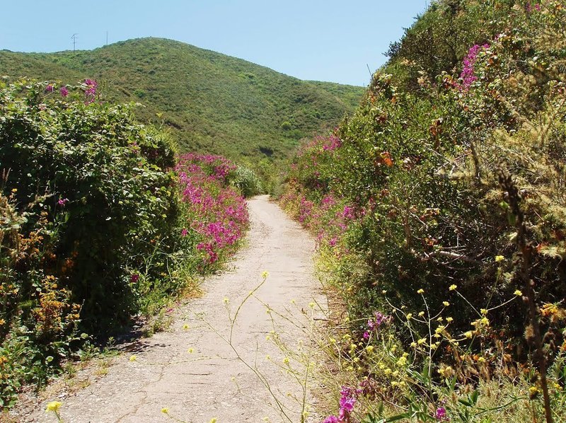 Old Pedro Mountain Road.