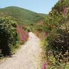 Old Pedro Mountain Road.