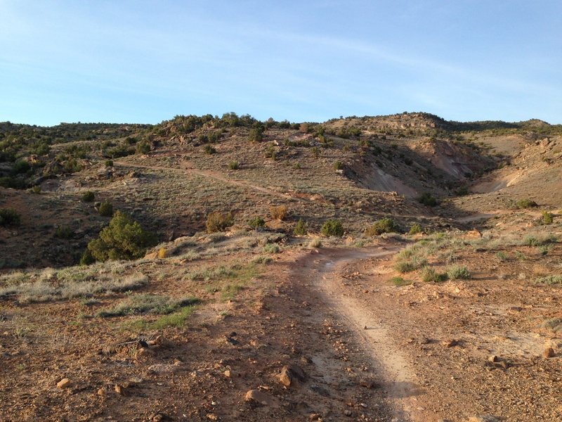 The initial climb up Tabeguache Trail.