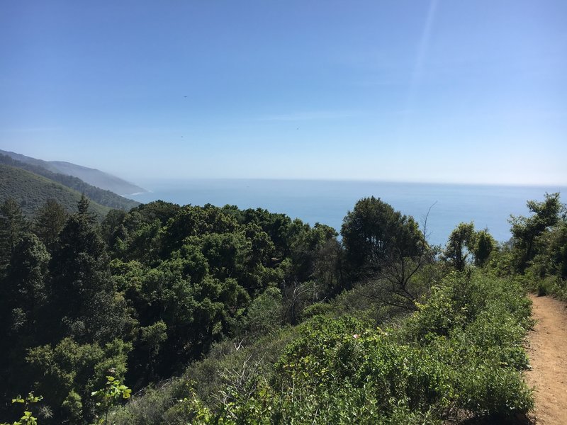 Beautiful view of ocean from Ewoldson Loop.