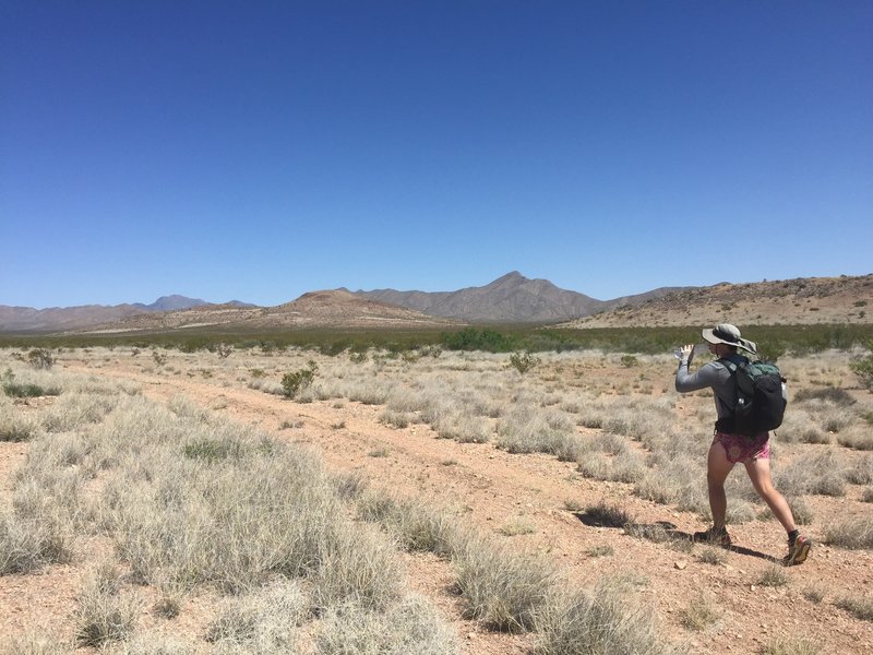 Heading through the desert on the Continental Divide Trail.