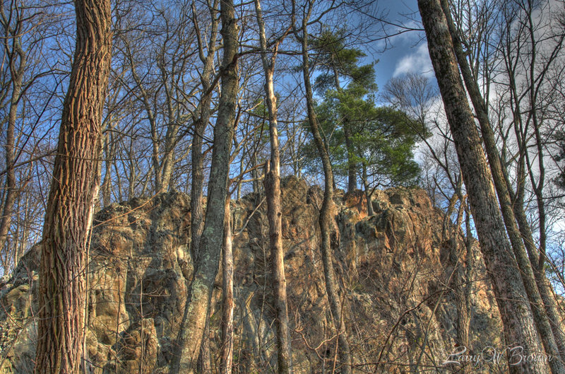 The Lost Cliffs loom over Dry Run Falls Road.