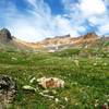 Tundra in the Ice Lake Basin with permission from David Broome