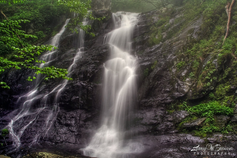 Jones Run Falls