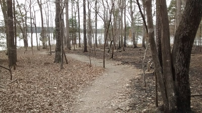 The trail passes through a controlled burn area