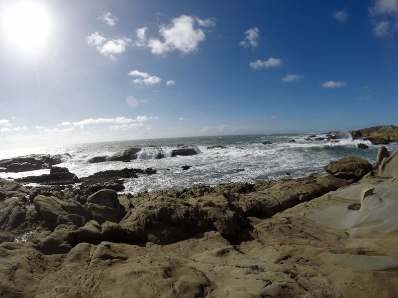 Coastal views from the Atkinson Bluff Trail.