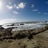 Coastal views from the Atkinson Bluff Trail.