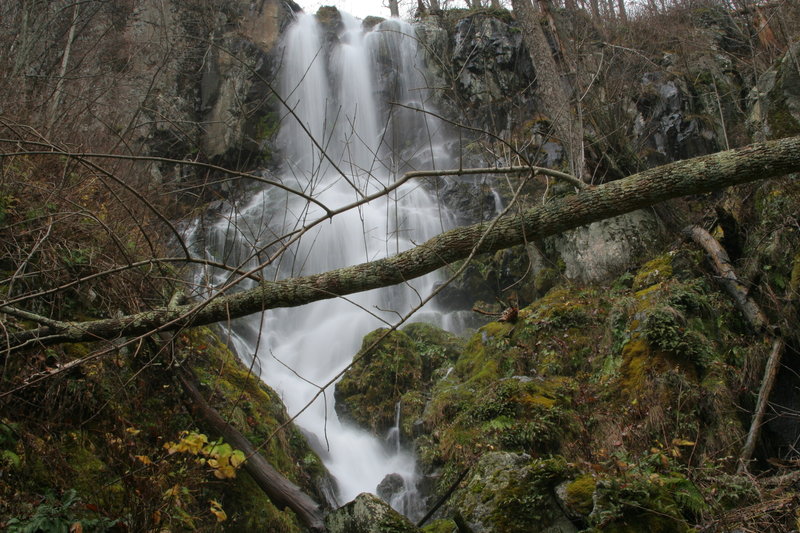 To reach this view of Lewis Falls from its base, you'll need to do some bushwhacking.