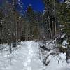 Snowshoeing on 3/20/2016 on the Mountain Lion Trail.