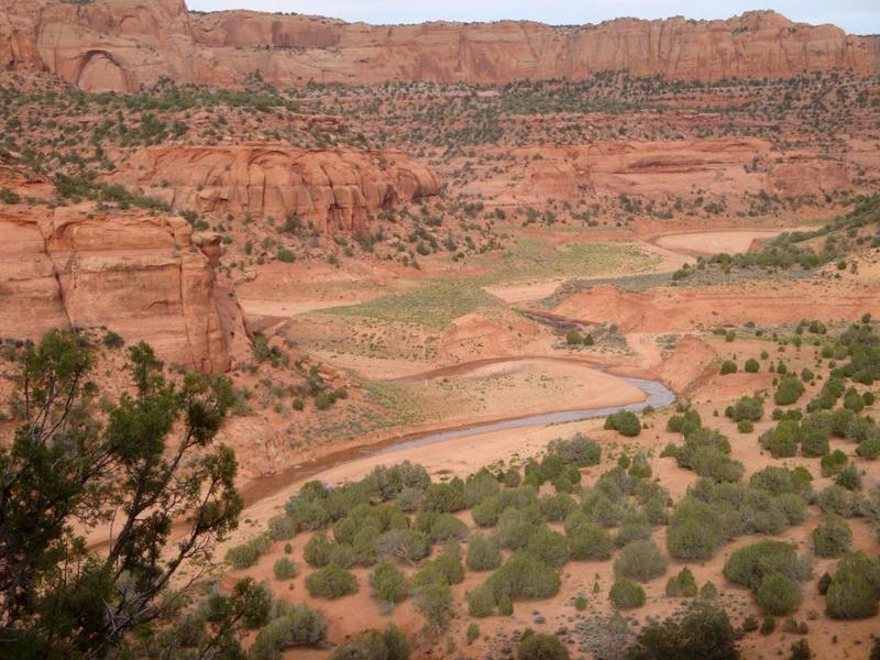 The Keet Seet Trail and a view of the bottom of the Canyon.