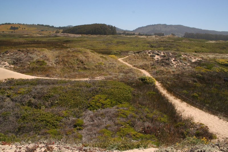 East view of dunes towards Santa Cruz Mountains with permission from Edward Rooks